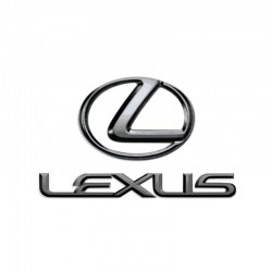 Diagnosis Lexus